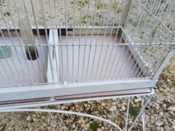 Cage à Oiseaux Fer 1900