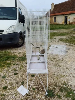 Cage à Oiseaux Fer 1900