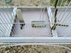 Cage à Oiseaux Fer 1900