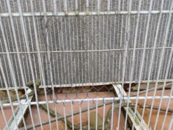 Cage à Oiseaux Fer 1900