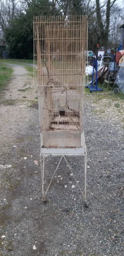 Cage à oiseaux fer 1900