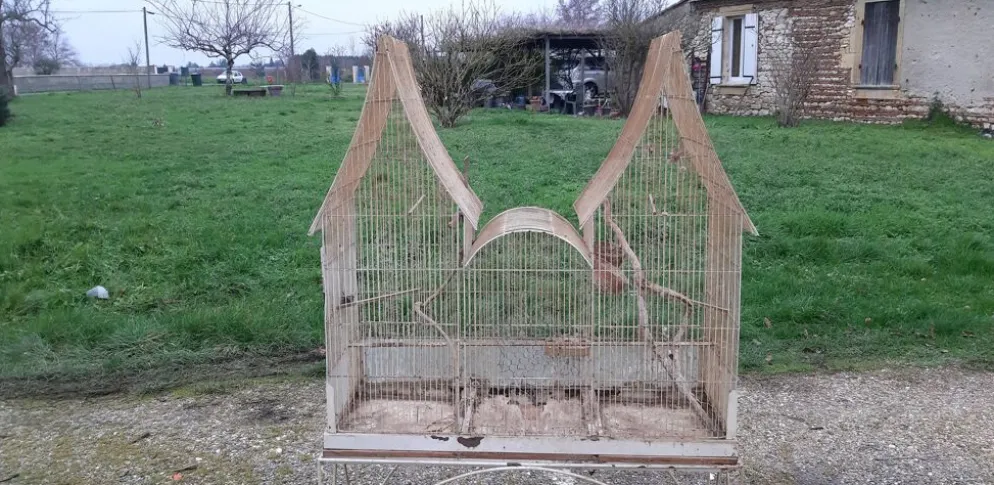 Cage à oiseaux fer 1900