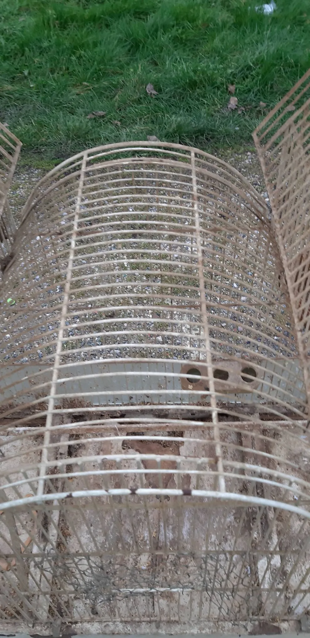 Cage à oiseaux fer 1900