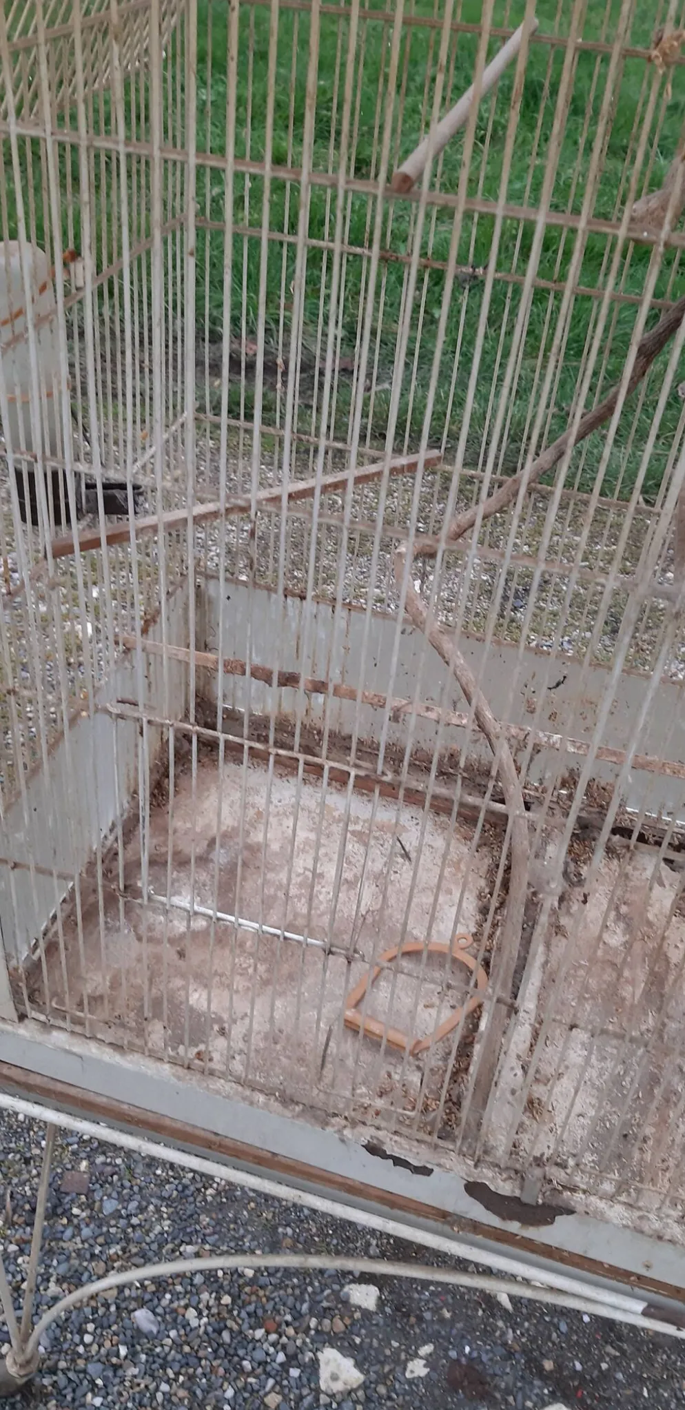 Cage à oiseaux fer 1900
