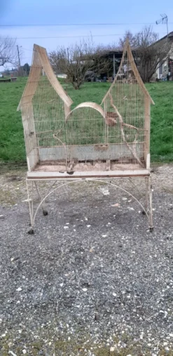 Cage à oiseaux fer 1900
