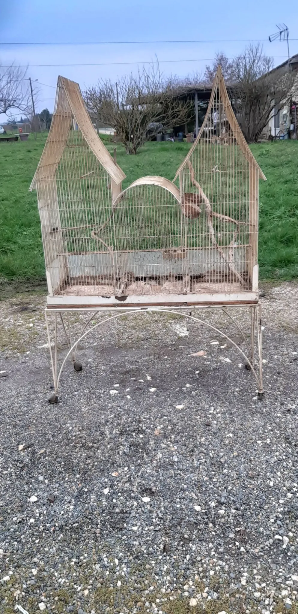 Cage à oiseaux fer 1900