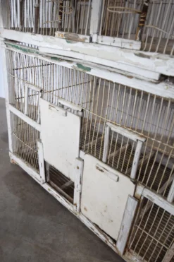 Cage à oiseau xixème