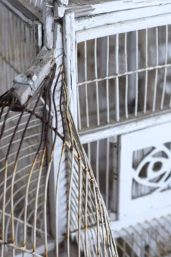 Cage à oiseau xixème