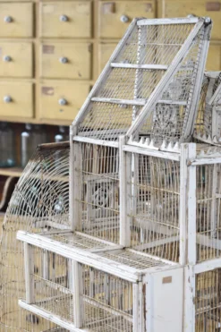 Cage à oiseau xixème
