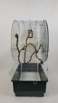 Cage à oiseaux sur pied vintage