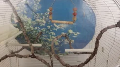 Cage à oiseaux sur pied vintage
