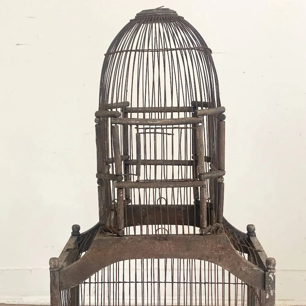 Cage à oiseaux vintage 1900's