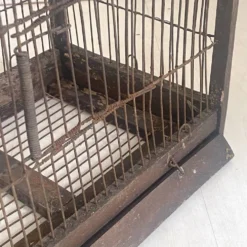 Cage à oiseaux vintage 1900's