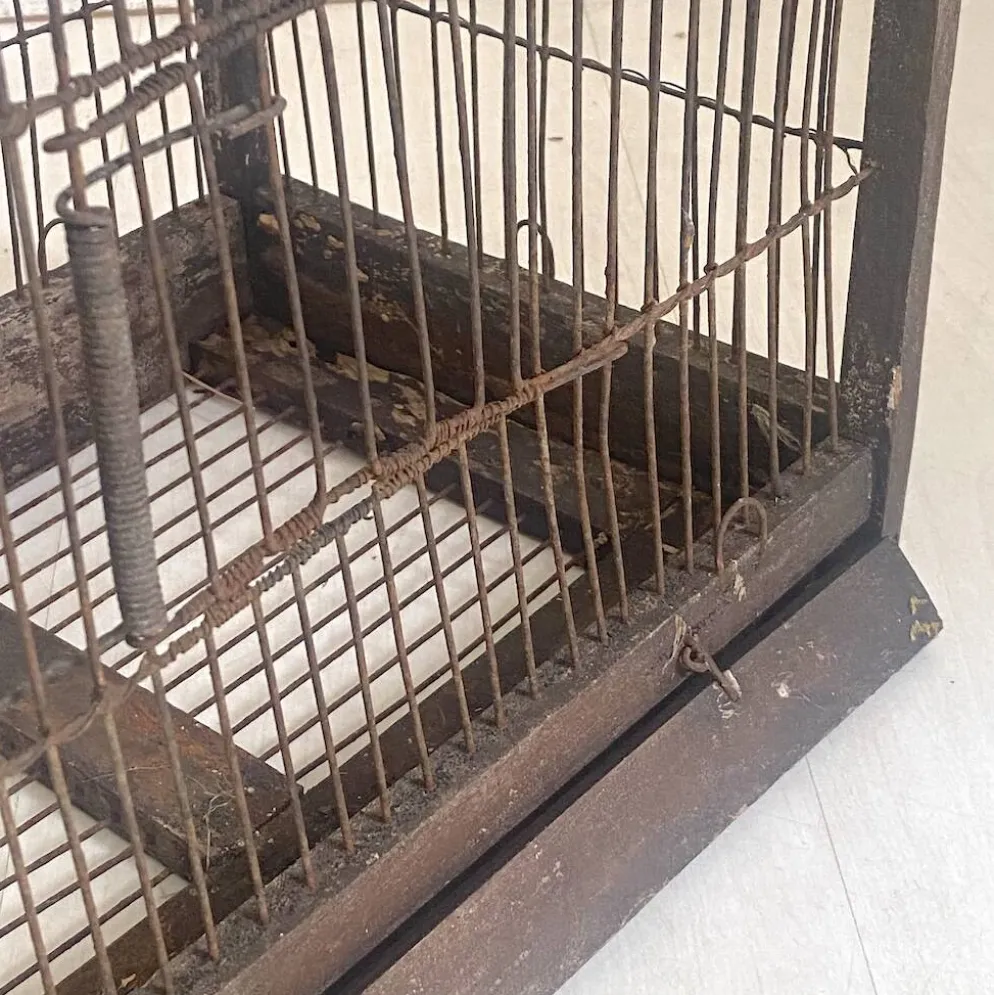 Cage à oiseaux vintage 1900's