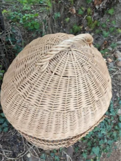 Cage à perroquet ancienne en rotin 85 cm de haut