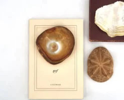 Cendrier vide poche marron orangé en agate naturelle, années 70 vintage