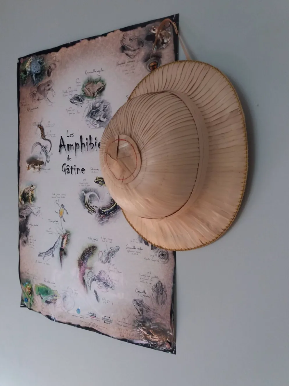 chapeau colonial d'explorateur