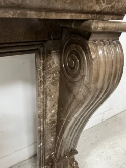 Cheminée Napoléon III a pieds griffes en marbre moucheté XIX siècle