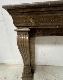 Cheminée Napoléon III a pieds griffes en marbre moucheté XIX siècle