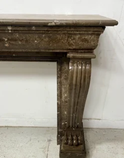Cheminée Napoléon III a pieds griffes en marbre moucheté XIX siècle