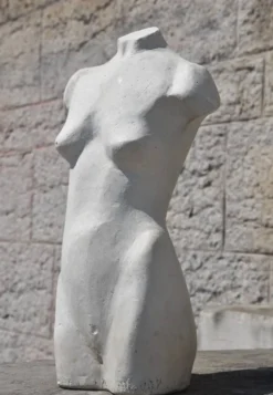 École française, Torse (vers 1940)