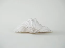 Coquillage décoratif de triton, style bohème, années 1980
