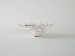 Coquillage décoratif de triton, style bohème, années 1980