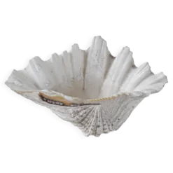 Coquillage décoratif de triton, style bohème, années 1980