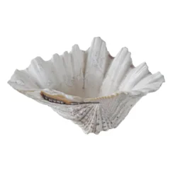 Coquillage décoratif de triton, style bohème, années 1980