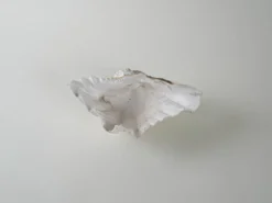 Coquillage décoratif de triton, style bohème, années 1980