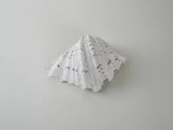 Coquillage décoratif de triton, style bohème, années 1980