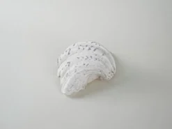 Coquillage décoratif de triton, style bohème, années 1980