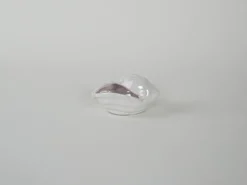 Coquillage en porcelaine, design italien, années 1970, production : Italie
