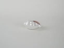 Coquillage en porcelaine, design italien, années 1970, production : Italie