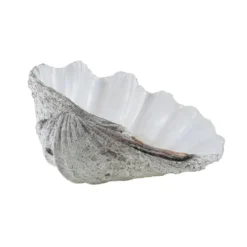 Coquillage Tridacna décoratif, style boho, années 1980