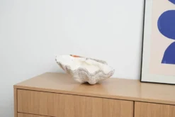 Coquillage Tridacna décoratif, style boho, années 1980