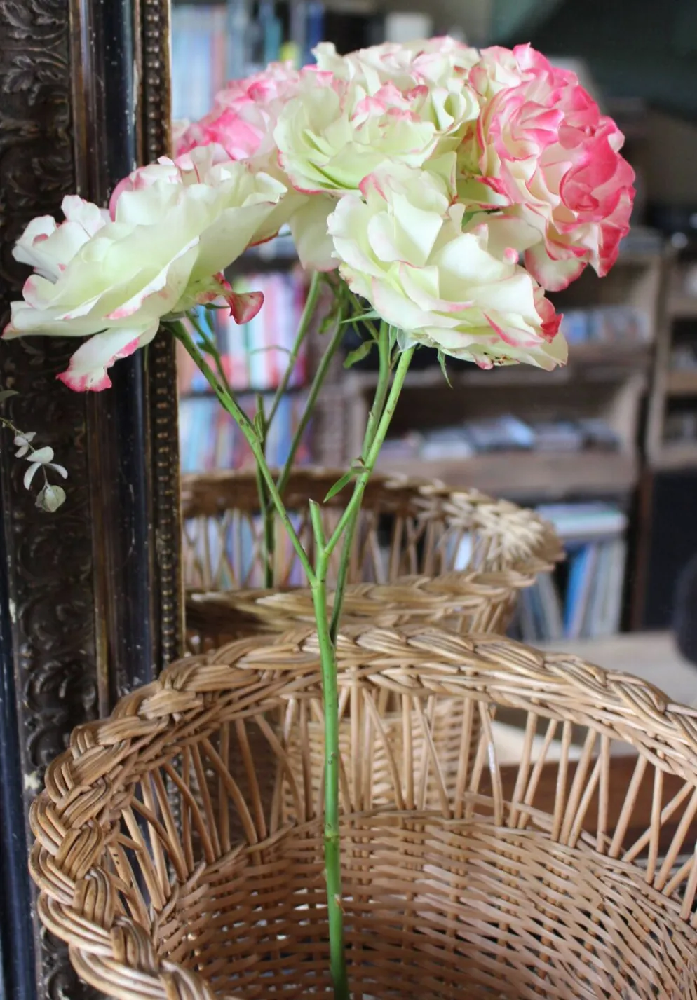Corbeille à papier, plante vintage en osier