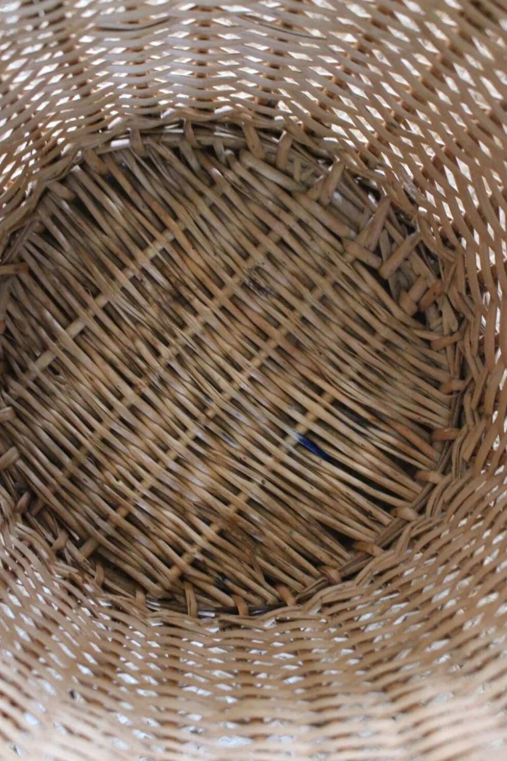 Corbeille à papier, plante vintage en osier