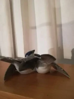 Couple d'oiseaux - Porcelaine Fraureuth Carl Nacke