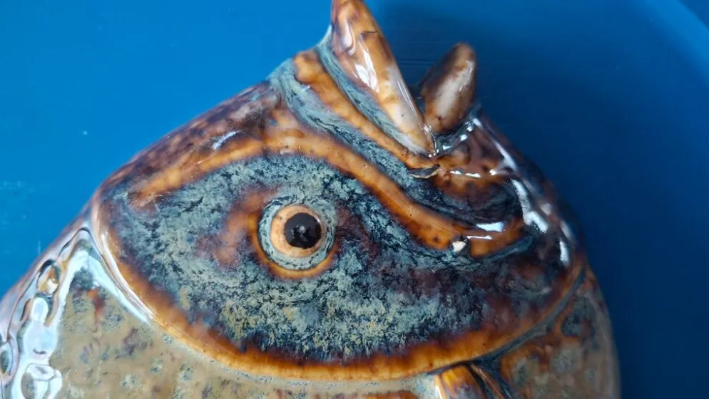 Céramique Vallauris Sculpture murale poisson en relief sur plaque bleu