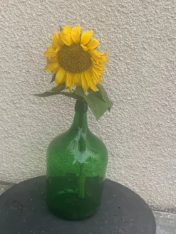 Dame jeanne en verre verte vintage