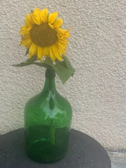 Dame jeanne en verre verte vintage