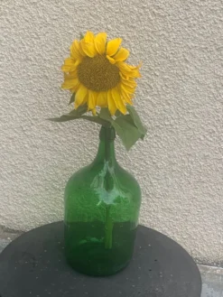 Dame jeanne en verre verte vintage