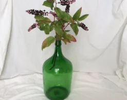 Dame Jeanne en verre vert émeraude