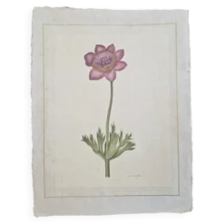 Dessin à l'aquarelle sur soie - Anémone - La Roche Laffitte (Né en 1943)