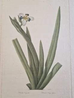 Dessin à l'aquarelle sur soie - Morée - La Roche Laffitte (Né en 1943)