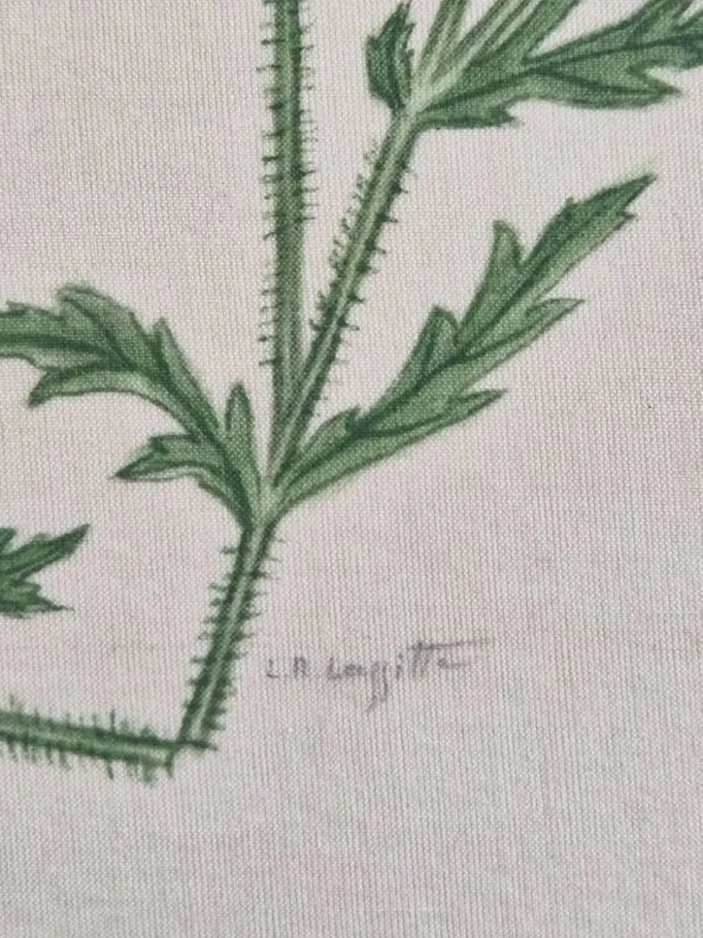 Dessin à l'aquarelle sur soie - Pavots - La Roche Laffitte (Né en 1943)