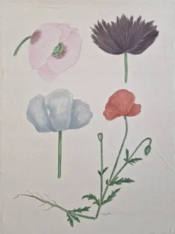 Dessin à l'aquarelle sur soie - Pavots - La Roche Laffitte (Né en 1943)