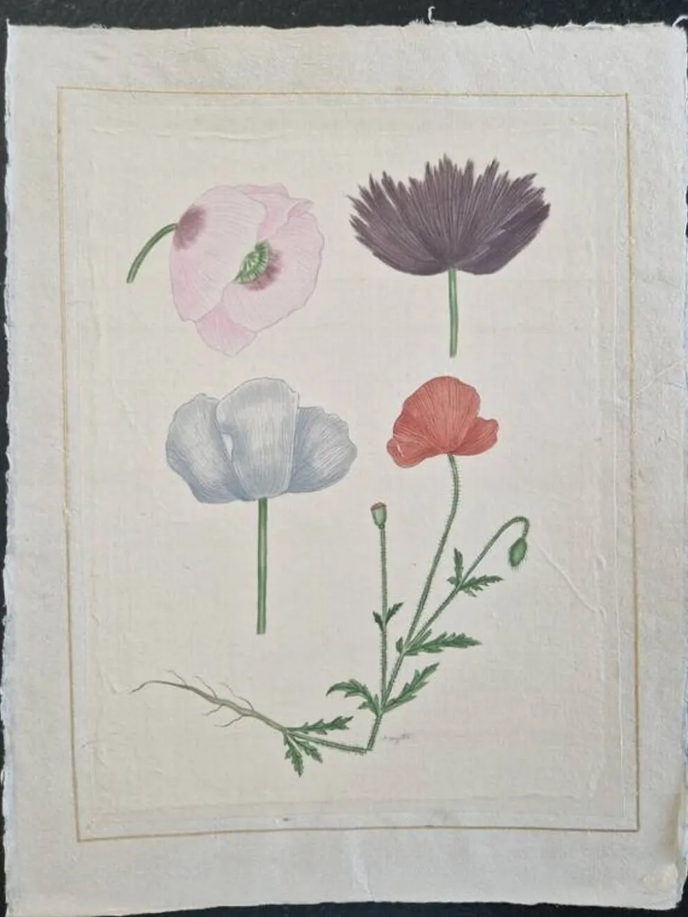 Dessin à l'aquarelle sur soie - Pavots - La Roche Laffitte (Né en 1943)