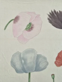 Dessin à l'aquarelle sur soie - Pavots - La Roche Laffitte (Né en 1943)